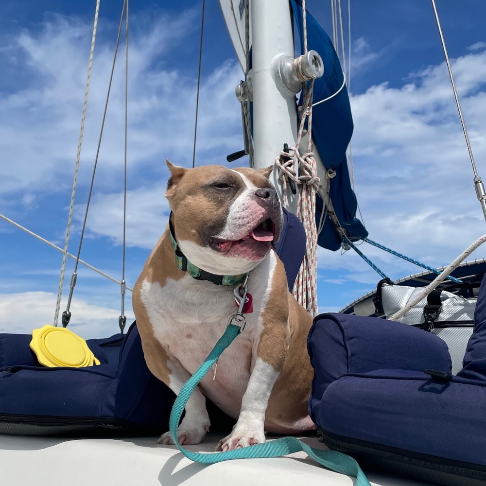 Meet your Posher, Trinity